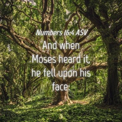 Picture 04 - Numbers 16:4 ASV - And when Moses heard it, he fell upon his - Bible Verse Picture