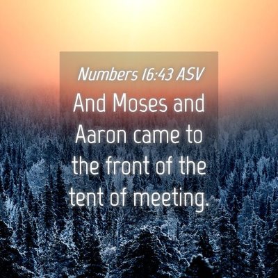 Picture 04 - Numbers 16:43 ASV - And Moses and Aaron came to the front of the tent - Bible Verse Picture