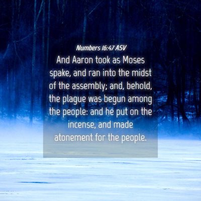 Picture 04 - Numbers 16:47 ASV - And Aaron took as Moses spake, and ran into the - Bible Verse Picture