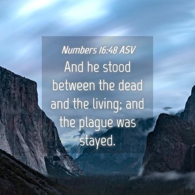 Picture 04 - Numbers 16:48 ASV - And he stood between the dead and the living; and - Bible Verse Picture