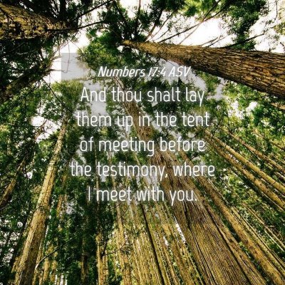 Picture 04 - Numbers 17:4 ASV - And thou shalt lay them up in the tent of meeting - Bible Verse Picture