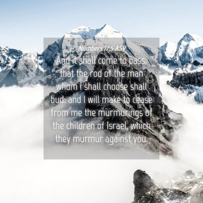 Picture 04 - Numbers 17:5 ASV - And it shall come to pass, that the rod of the - Bible Verse Picture