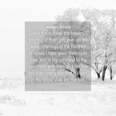 Picture 04 - Numbers 18:11 ASV - And this is thine: the heave-offering of their - Bible Verse Picture
