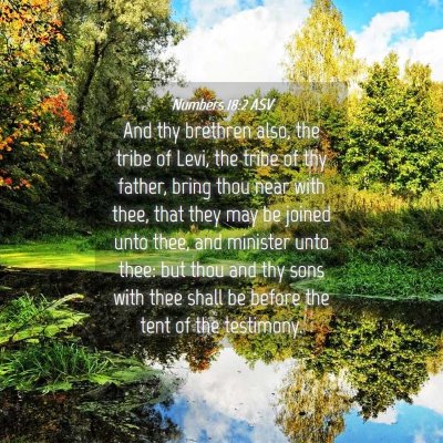Picture 04 - Numbers 18:2 ASV - And thy brethren also, the tribe of Levi, the - Bible Verse Picture