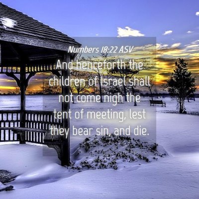Picture 04 - Numbers 18:22 ASV - And henceforth the children of Israel shall not - Bible Verse Picture