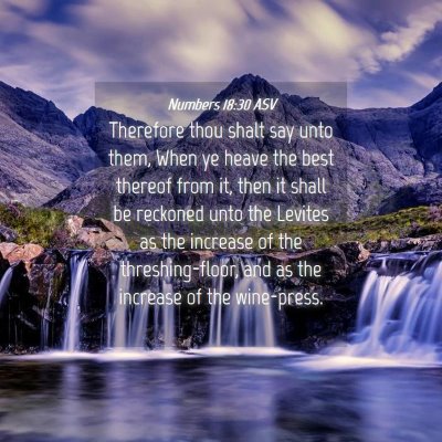 Picture 04 - Numbers 18:30 ASV - Therefore thou shalt say unto them, When ye heave - Bible Verse Picture
