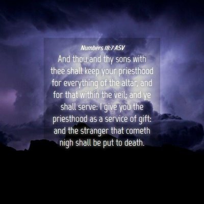 Picture 04 - Numbers 18:7 ASV - And thou and thy sons with thee shall keep your - Bible Verse Picture