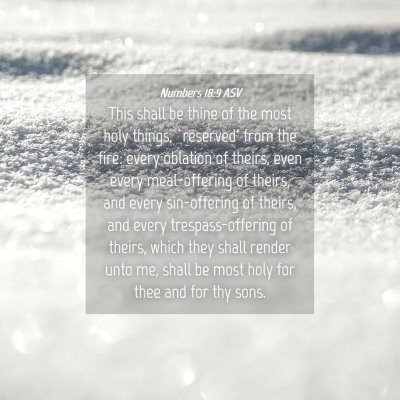 Picture 04 - Numbers 18:9 ASV - This shall be thine of the most holy things, - Bible Verse Picture