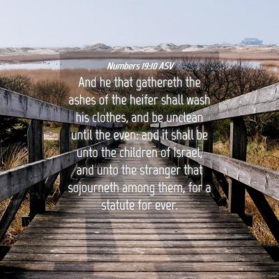 Picture 04 - Numbers 19:10 ASV - And he that gathereth the ashes of the heifer - Bible Verse Picture