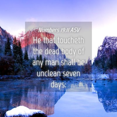 Picture 04 - Numbers 19:11 ASV - He that toucheth the dead body of any man shall - Bible Verse Picture