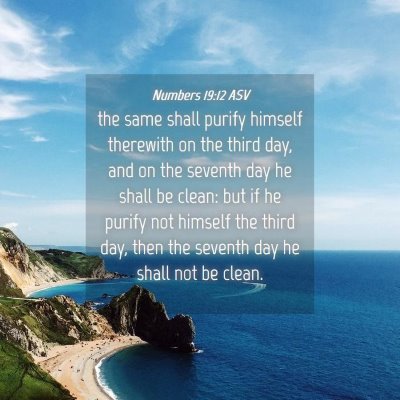 Picture 04 - Numbers 19:12 ASV - the same shall purify himself therewith on the - Bible Verse Picture