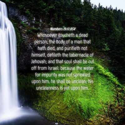 Picture 04 - Numbers 19:13 ASV - Whosoever toucheth a dead person, the body of a - Bible Verse Picture