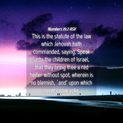 Picture 04 - Numbers 19:2 ASV - This is the statute of the law which Jehovah hath - Bible Verse Picture