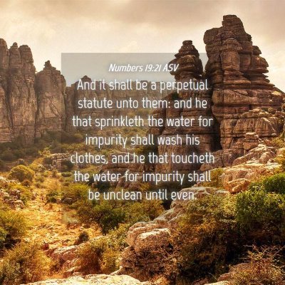 Picture 04 - Numbers 19:21 ASV - And it shall be a perpetual statute unto them: - Bible Verse Picture