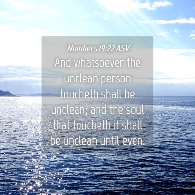 Picture 04 - Numbers 19:22 ASV - And whatsoever the unclean person toucheth shall - Bible Verse Picture