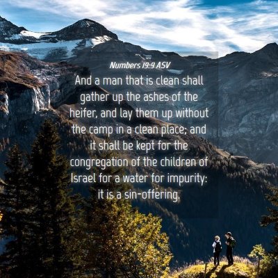 Picture 04 - Numbers 19:9 ASV - And a man that is clean shall gather up the ashes - Bible Verse Picture