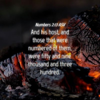 Picture 04 - Numbers 2:13 ASV - And his host, and those that were numbered of - Bible Verse Picture