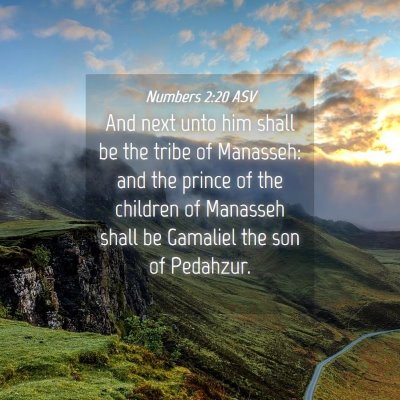 Picture 04 - Numbers 2:20 ASV - And next unto him shall be the tribe of Manasseh: - Bible Verse Picture