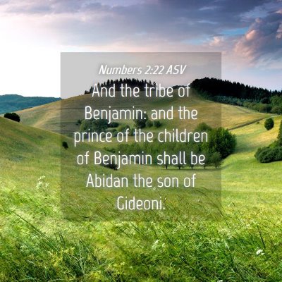 Picture 04 - Numbers 2:22 ASV - And the tribe of Benjamin: and the prince of the - Bible Verse Picture
