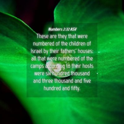 Picture 04 - Numbers 2:32 ASV - These are they that were numbered of the children - Bible Verse Picture