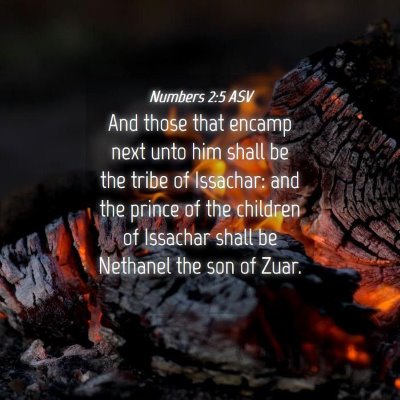 Picture 04 - Numbers 2:5 ASV - And those that encamp next unto him shall be the - Bible Verse Picture