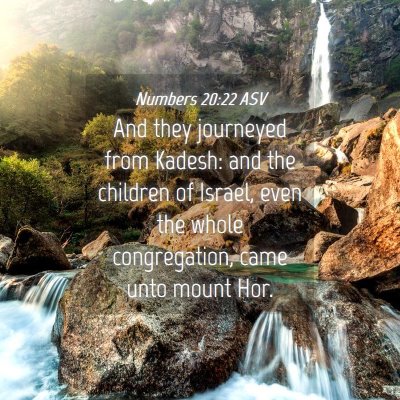 Picture 04 - Numbers 20:22 ASV - And they journeyed from Kadesh: and the children - Bible Verse Picture