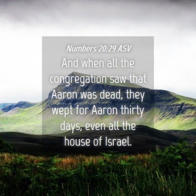 Picture 04 - Numbers 20:29 ASV - And when all the congregation saw that Aaron was - Bible Verse Picture