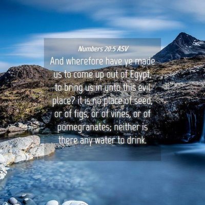 Picture 04 - Numbers 20:5 ASV - And wherefore have ye made us to come up out of - Bible Verse Picture
