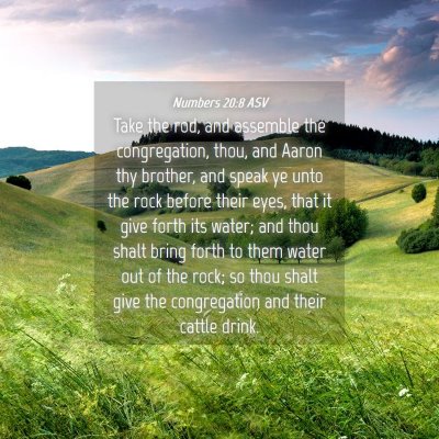Picture 04 - Numbers 20:8 ASV - Take the rod, and assemble the congregation, - Bible Verse Picture
