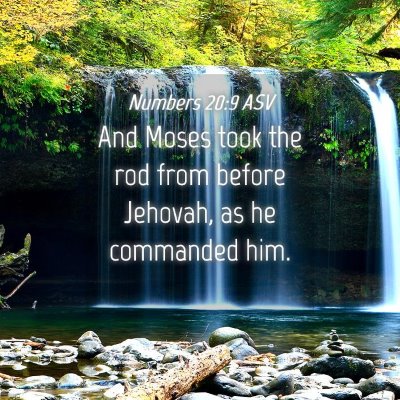 Picture 04 - Numbers 20:9 ASV - And Moses took the rod from before Jehovah, as he - Bible Verse Picture