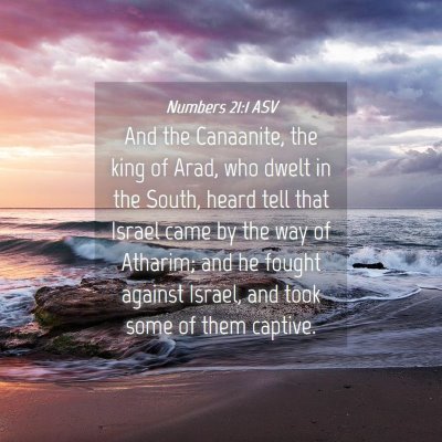 Picture 04 - Numbers 21:1 ASV - And the Canaanite, the king of Arad, who dwelt in - Bible Verse Picture