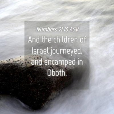 Picture 04 - Numbers 21:10 ASV - And the children of Israel journeyed, and - Bible Verse Picture