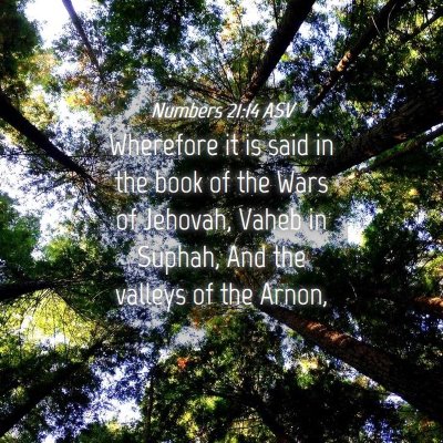 Picture 04 - Numbers 21:14 ASV - Wherefore it is said in the book of the Wars of - Bible Verse Picture