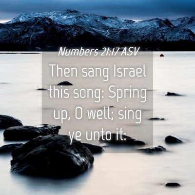 Picture 04 - Numbers 21:17 ASV - Then sang Israel this song: Spring up, O well; - Bible Verse Picture