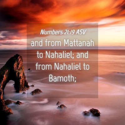 Picture 04 - Numbers 21:19 ASV - and from Mattanah to Nahaliel; and from Nahaliel - Bible Verse Picture