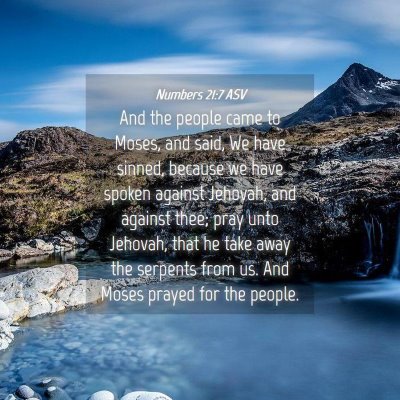 Picture 04 - Numbers 21:7 ASV - And the people came to Moses, and said, We have - Bible Verse Picture