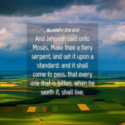 Picture 04 - Numbers 21:8 ASV - And Jehovah said unto Moses, Make thee a fiery - Bible Verse Picture