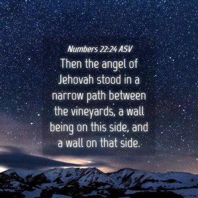 Picture 04 - Numbers 22:24 ASV - Then the angel of Jehovah stood in a narrow path - Bible Verse Picture