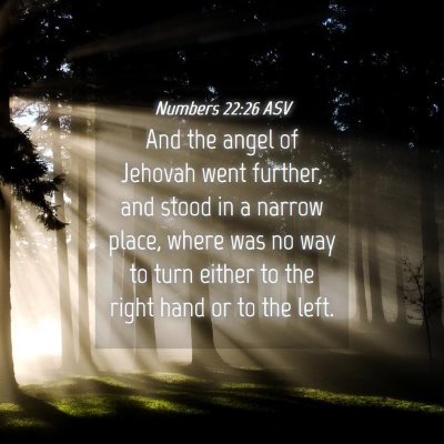 Picture 04 - Numbers 22:26 ASV - And the angel of Jehovah went further, and stood - Bible Verse Picture
