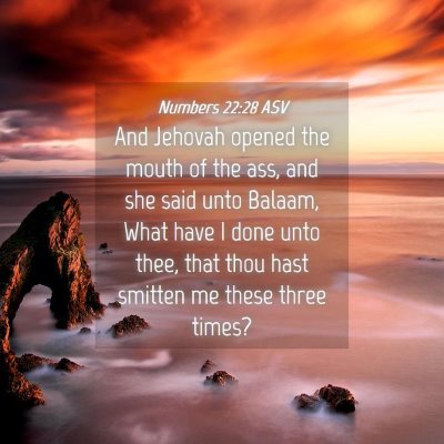 Picture 04 - Numbers 22:28 ASV - And Jehovah opened the mouth of the ass, and she - Bible Verse Picture