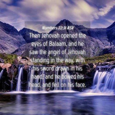 Picture 04 - Numbers 22:31 ASV - Then Jehovah opened the eyes of Balaam, and he - Bible Verse Picture