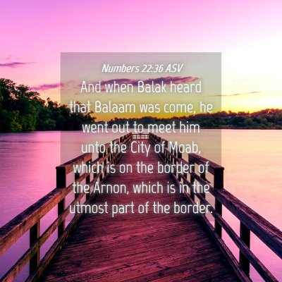 Picture 04 - Numbers 22:36 ASV - And when Balak heard that Balaam was come, he - Bible Verse Picture