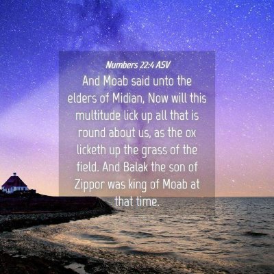 Picture 04 - Numbers 22:4 ASV - And Moab said unto the elders of Midian, Now will - Bible Verse Picture