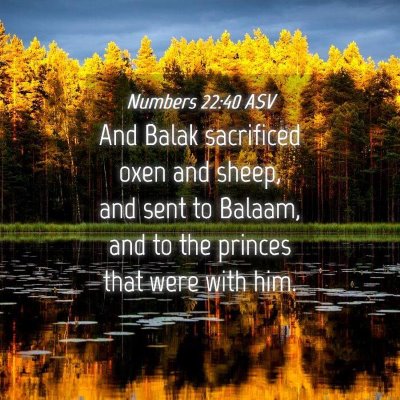 Picture 04 - Numbers 22:40 ASV - And Balak sacrificed oxen and sheep, and sent to - Bible Verse Picture