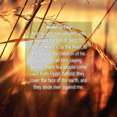 Picture 04 - Numbers 22:5 ASV - And he sent messengers unto Balaam the son of - Bible Verse Picture