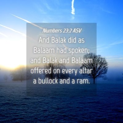 Picture 04 - Numbers 23:2 ASV - And Balak did as Balaam had spoken; and Balak and - Bible Verse Picture