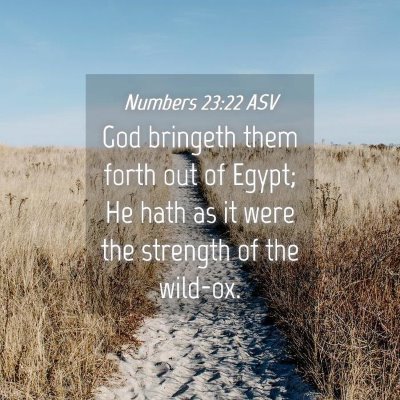 Picture 04 - Numbers 23:22 ASV - God bringeth them forth out of Egypt; He hath as - Bible Verse Picture