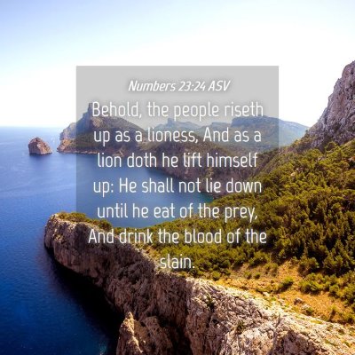 Picture 04 - Numbers 23:24 ASV - Behold, the people riseth up as a lioness, And as - Bible Verse Picture