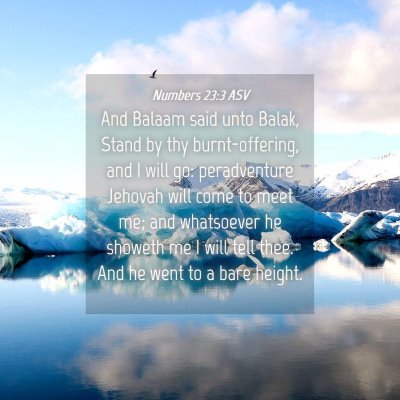 Picture 04 - Numbers 23:3 ASV - And Balaam said unto Balak, Stand by thy - Bible Verse Picture