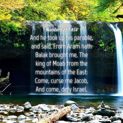 Picture 04 - Numbers 23:7 ASV - And he took up his parable, and said, From Aram - Bible Verse Picture